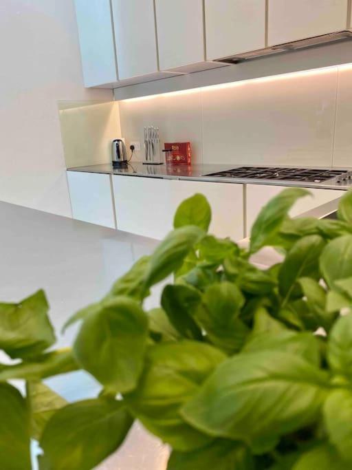 Сasa de vacaciones Stunning 4 Bed Mews House With Patio